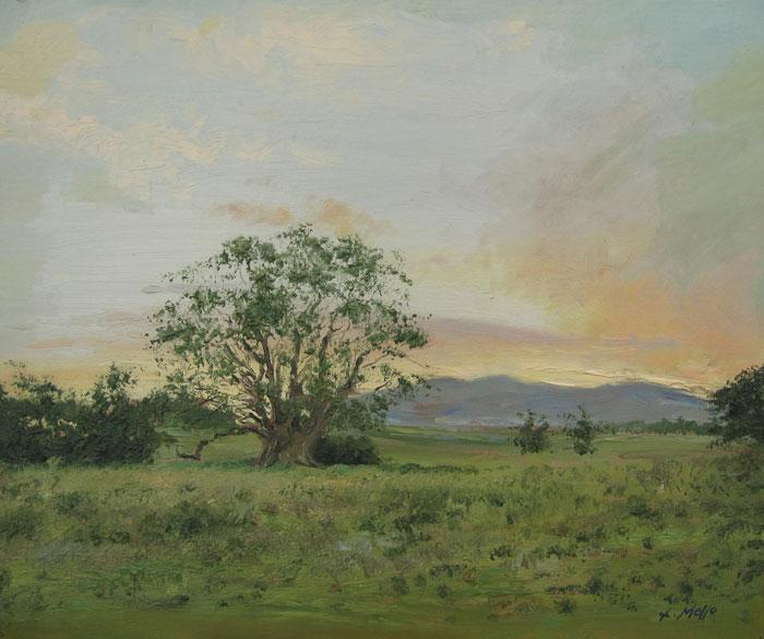 Atardecer en el campo, primavera Mello, Luis