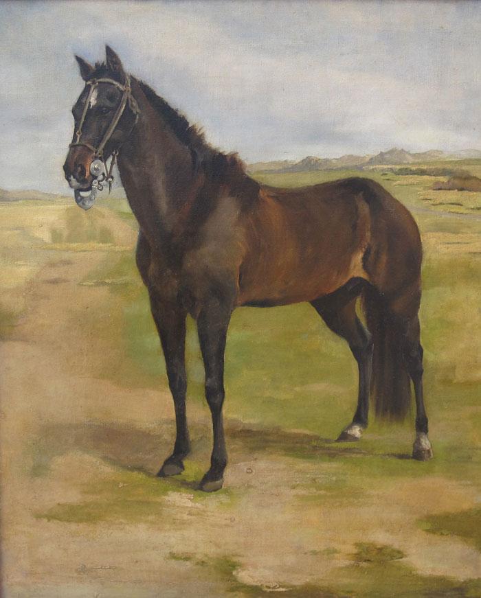 Caballo Hequet, Juan Bautista Diógenes