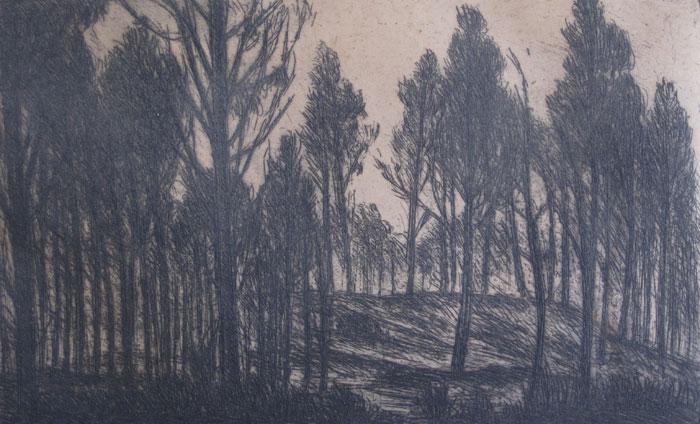 Burn forest O'Neill Hamilton, Hugo