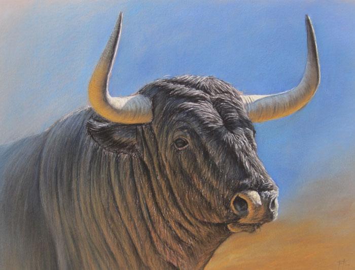 The spanish bull Arnutti, Alejandro