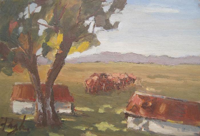 Ranchs Paglia, Lelé