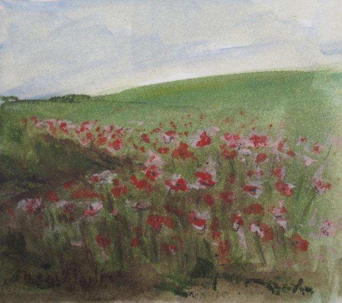 Poppies country Cavajani, Nici