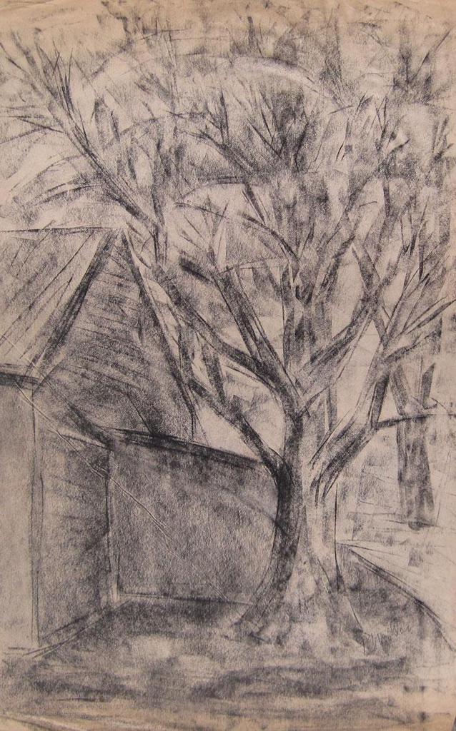 Árbol Möller de Berg, Federico