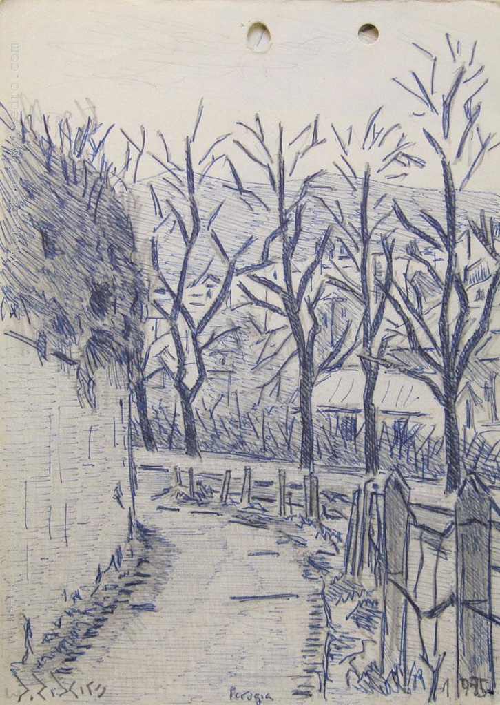 Perugia Ribeiro, Diego