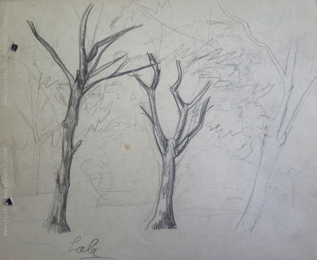 Trees II Viera, Petrona