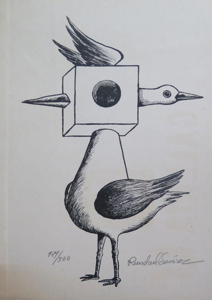 Bird Suárez, Ruisdael
