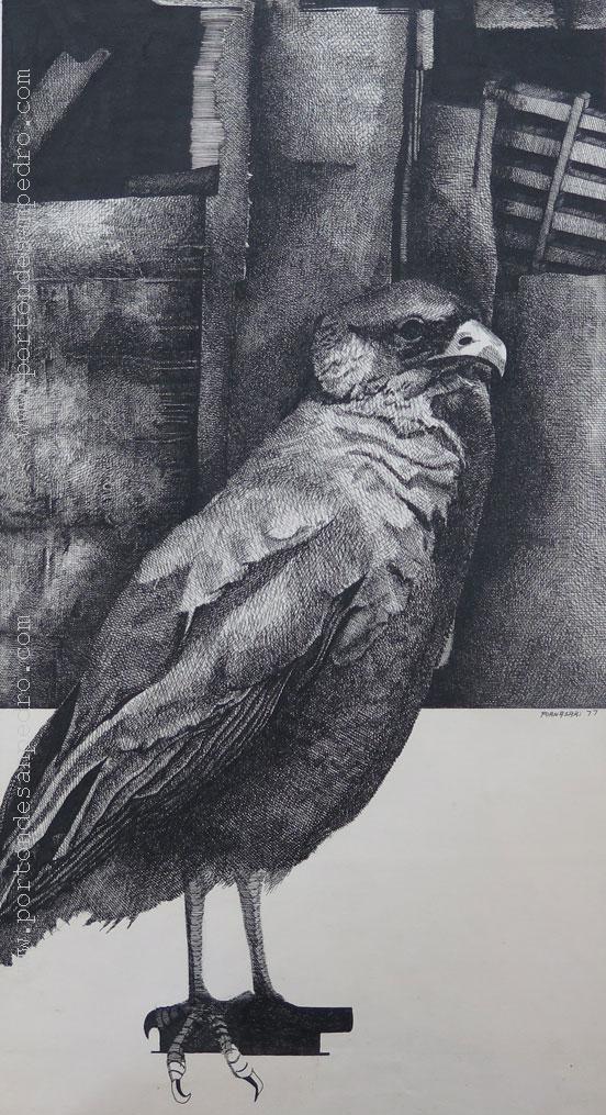 Bird Fornasari, Eduardo