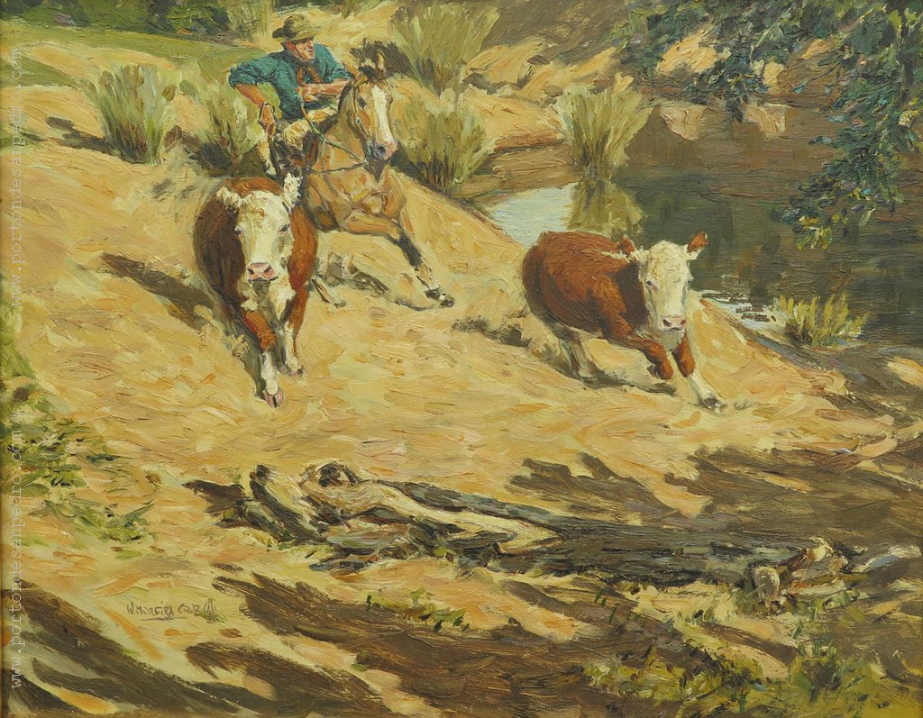 Collecting steers Moreira Cruz, William