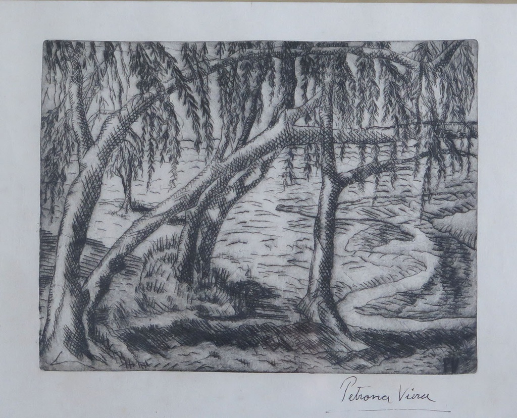 Willows II Viera, Petrona