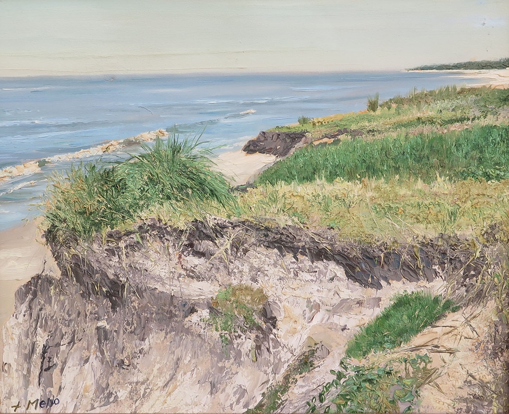 Playa La Floresta Mello, Luis