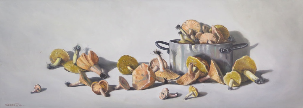 Hongos IV Mezzetta, Antonio