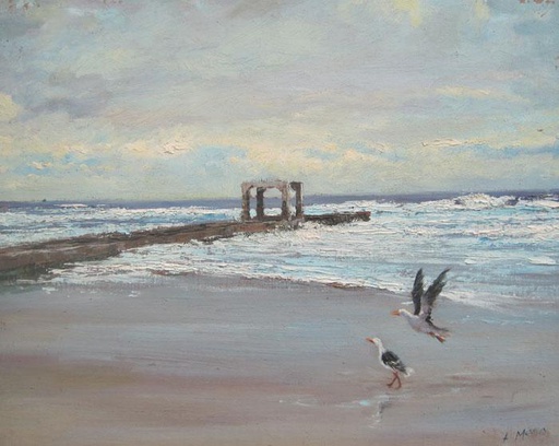 [11315] Seagulls by the beach