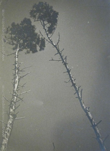 [12907] Aire de septiembre