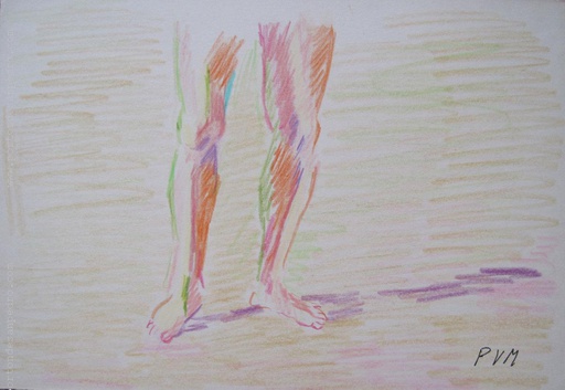 [13727] Estudio de piernas