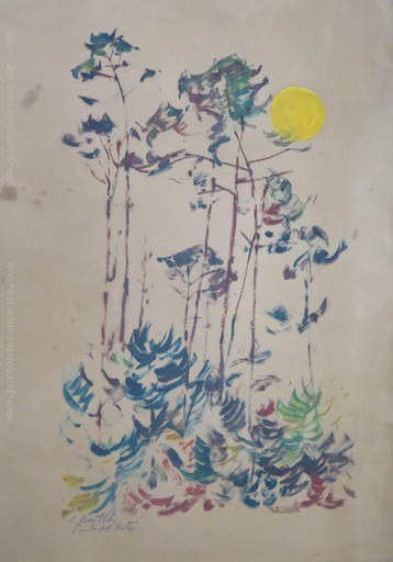 [13812] Pine forests of Punta del Este