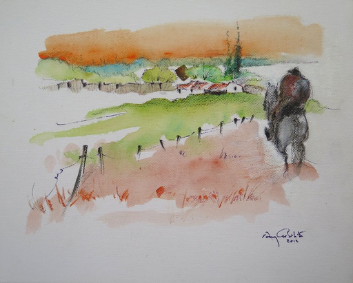 [8413] Uruguayan landscape