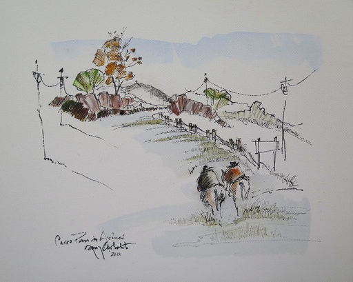 [8595] Pan de Azúcar's hill