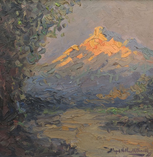 [8803] Pico nevado
