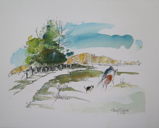 [8812] Uruguayan landscape II