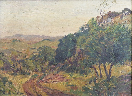 [8833] In the Sierras de Minas