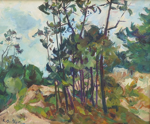 [8879] The pine trees of Punta del Este