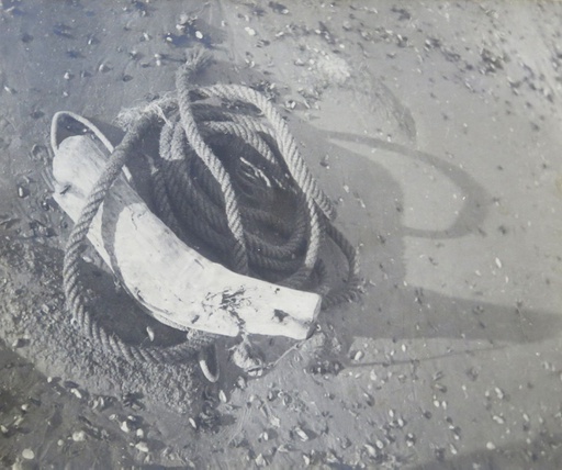 [8893] Anunciando la pesca