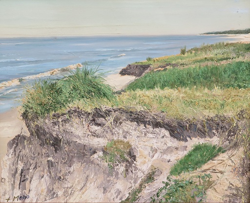 [8965] Playa La Floresta